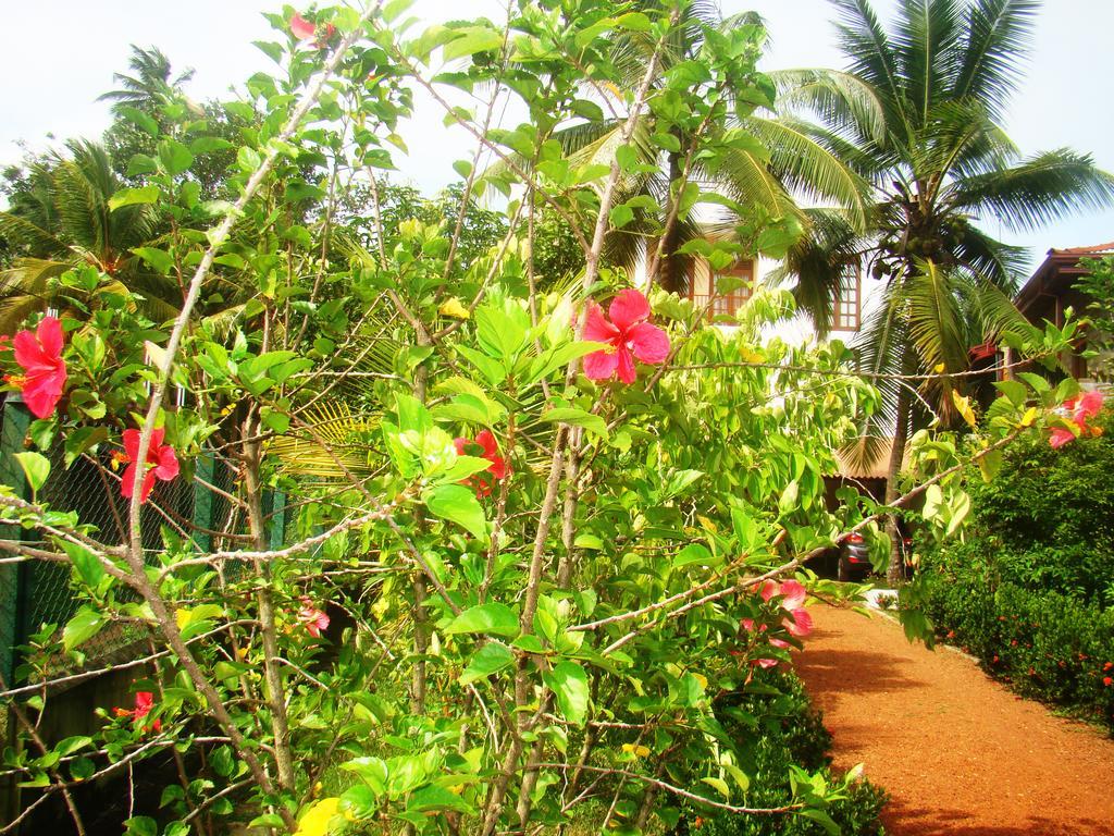 Bentota Homes Extérieur photo